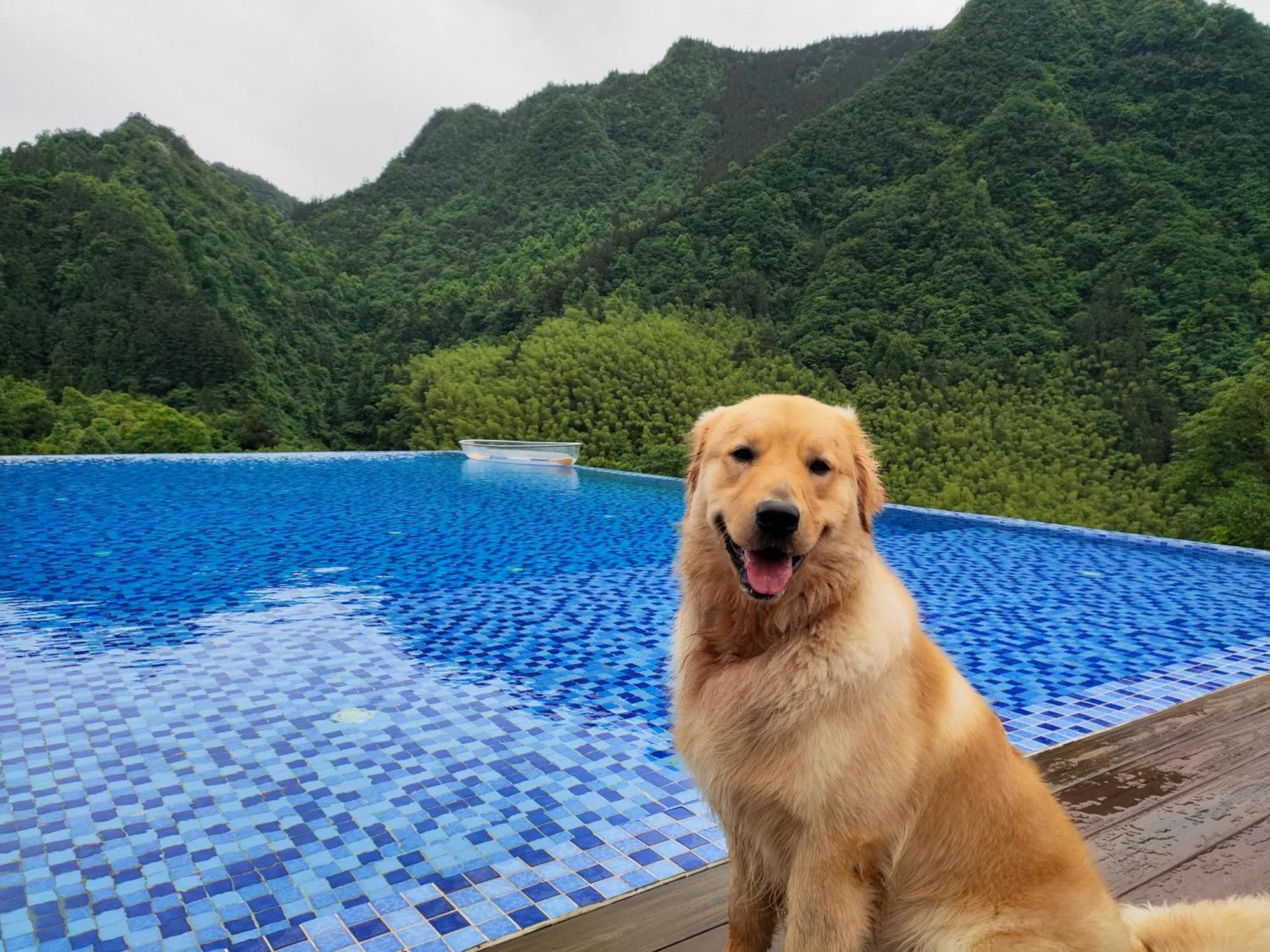 Hilltop House Resort Trương Gia Giới Ngoại thất bức ảnh